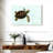 Brampt Baby Turtle-108694123