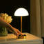 Metal Desk Lamp-361412362