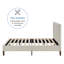 Lit Moniz-791288473-791288470