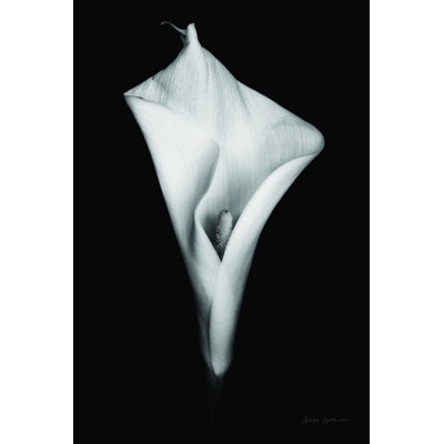 Élégante Calla I