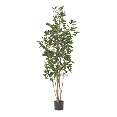 180Cm Artificial Tree - Transform Your Interior Swiftly For Easy Use 69.42"H X 29.12"W 24.93"D Flexible Iron Frame Plastic Leaves Decorate Home Easily With Convenient Display Versatile Faux Plant And