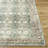 Alburgh Washable Oriental Indoor Rug-1669669321
