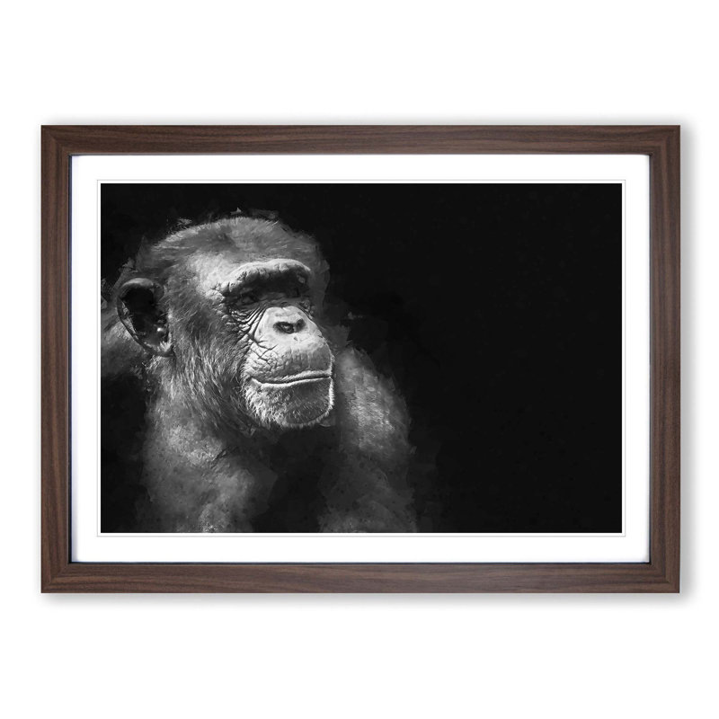 Ape in Abstract - Picture Frame Graphic Art Print, Walnut Framed, 27cm H x 36cm W x 2cm D