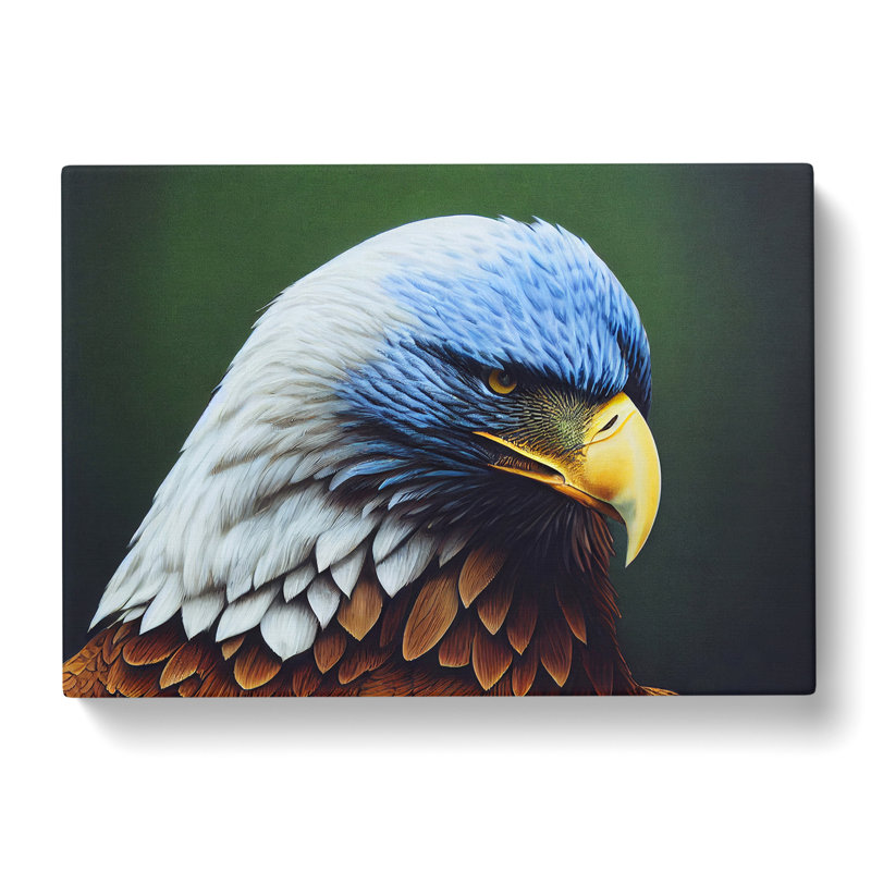 Handsome Eagle Bird - Wrapped Canvas Print, 35cm H x 50cm W x 3cm D
