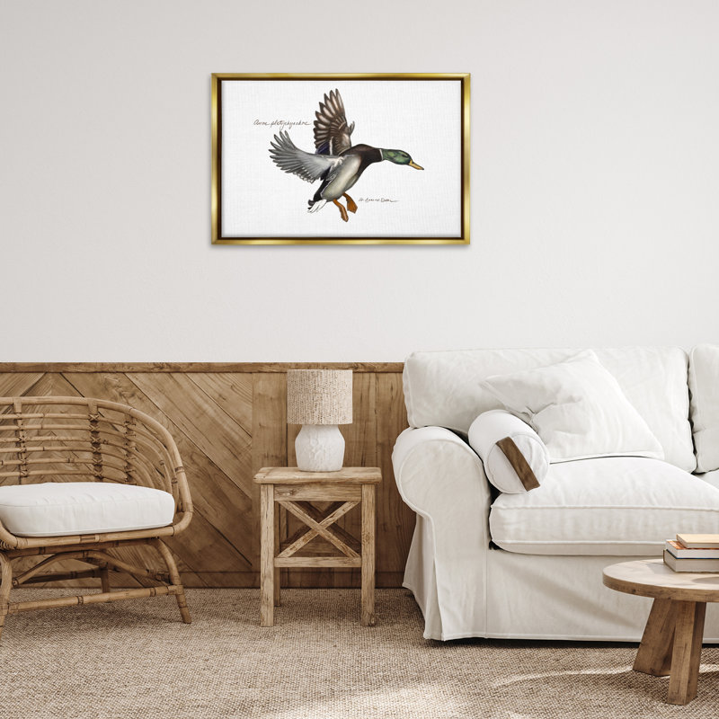 Toile flottante encadrée canard colvert volant par Jadei, Cadre flottant métallique doré, H 21 po x l 31 po