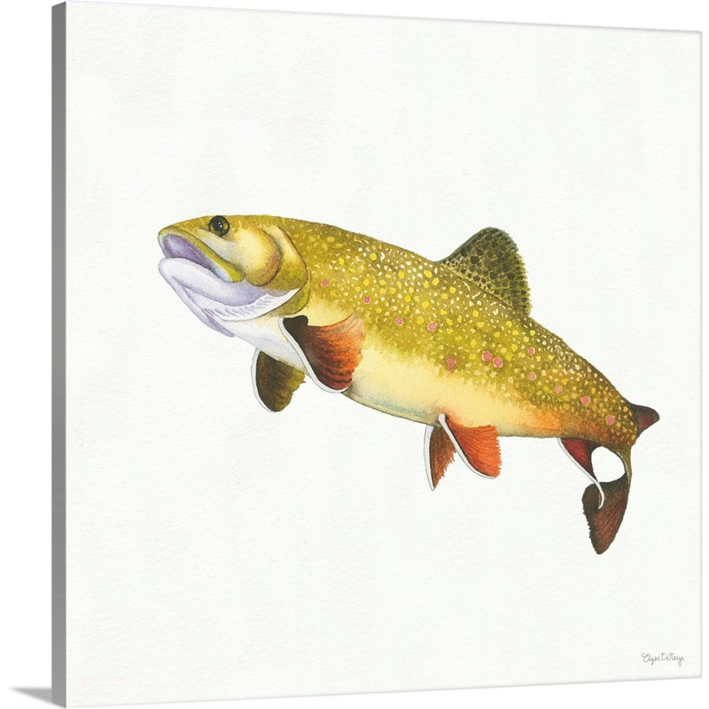 " Gone Fishin Brookie " Painting Print, 48" H x 48" W x 1.25" D, Wrapped Canvas