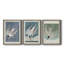 Pl 240 Roseat Tern - Ensemble de 3 peintures sur toile encadrées-870685458-870685462