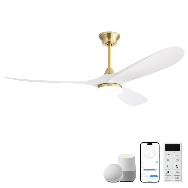 Ventilateur de plafond intelligent de 60 pouces avec lumière, application intelligente et télécommande, moteur à courant continu, minuterie 1H / 4H / 8H, idéal pour les grands espaces