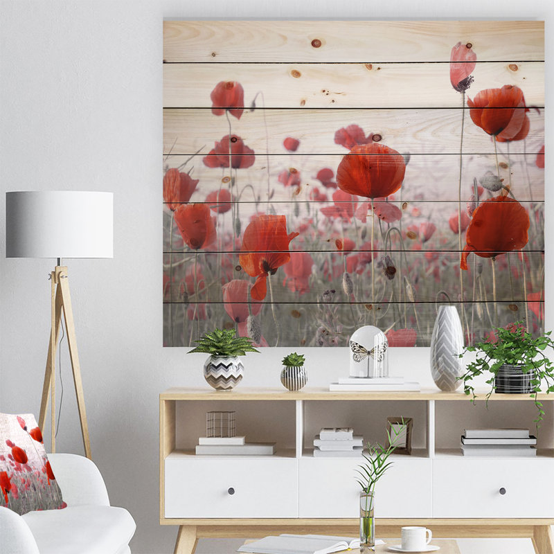 Incroyable jardin de fleurs de coquelicots rouges Incroyable jardin de fleurs de coquelicots rouges - sur