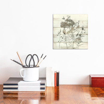 Dried Flower Study II by Carol Robinson - Wrapped Canvas Print