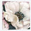 « anemone study iii », reproduction sur toile tendue-28103999-72560822-72560823