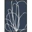 Tracings 4 Print by Romina Gadler-977434558-977434548