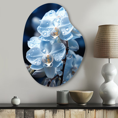 Rowden Blue Flower Field Pearlescent Orchids - Orchids Pear Shape Assymterical