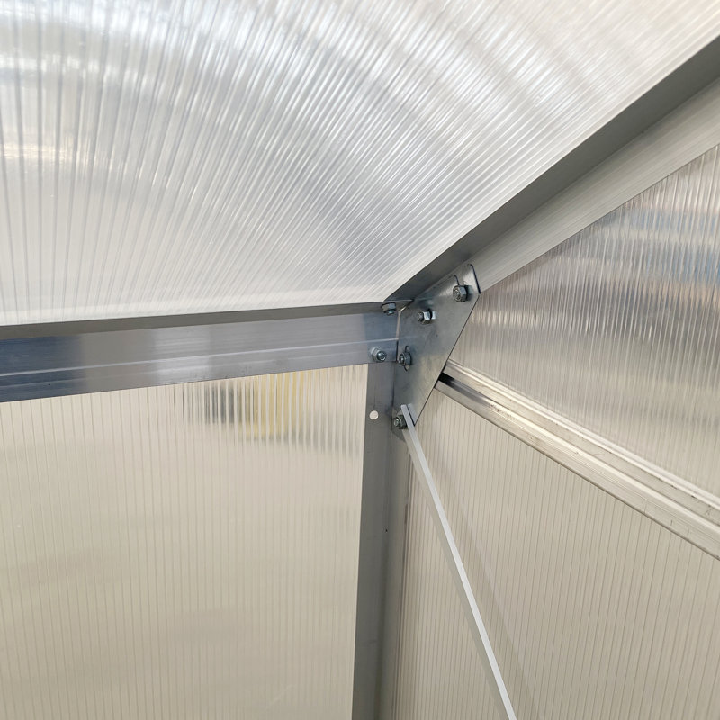 Aidia 6 x 4ft Lean to Wall Polycarbonate Greenhouse Sliding Door Clear