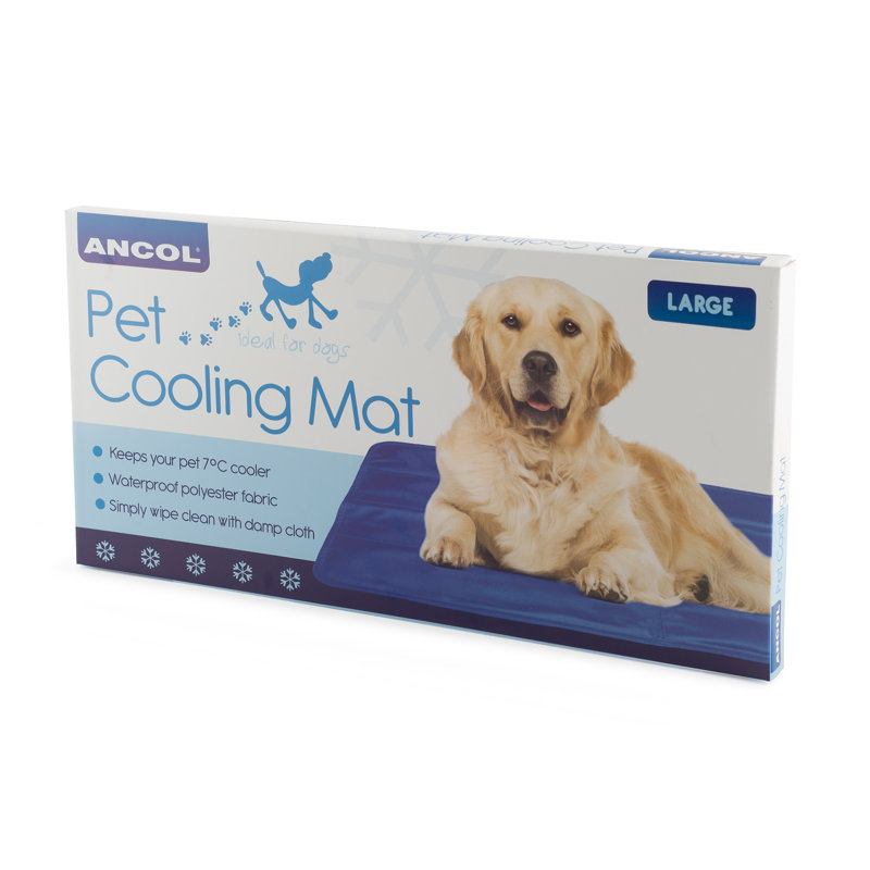 Wesson Plastic Pet Bed, 1cm H x 45cm W x 90cm D
