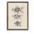 Espresso Framed Canvas n'est pas disponible