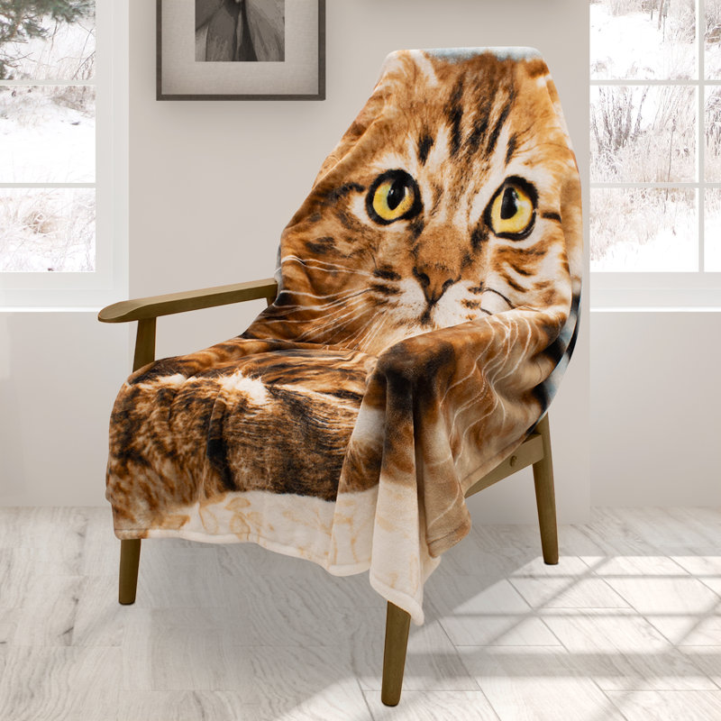 Jeté de chat de qualité supérieure super doux, léger et fonctionnel