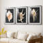 Imprimé graphique Murex rose - encadré sur mesure de qualité supérieure - 3 pièces-1318840430-1318840400