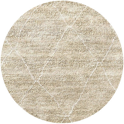 Geometric Indoor Rug
