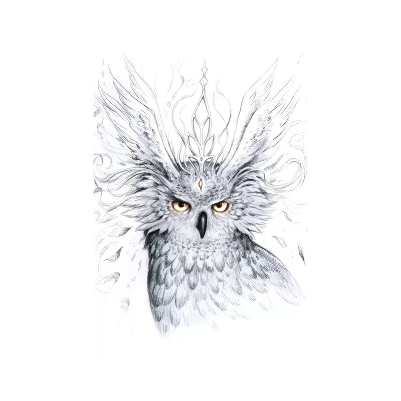 Owl by JoJoesArt - Wrapped Canvas Print, 20.32 cm H x 30.48 cm W
