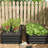 4x2 Ft Galvanized Steel Raised Garden Bed Kit - 1ft High, 48x24x12 Inch Outdoor Metal Planter Box for Vegetables, Herbs, Flowers & Plants | Easy Assembly, Rust-Resistant, Durable，set of 4-367466032-367466047