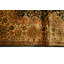 Wool Oriental Area Rug