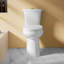 Toilette allongée 21 po pour personnes âgées 21 po, 1,1 / 1,6 GPF à double chasse allongée, carte 1000g, blanc-111650071