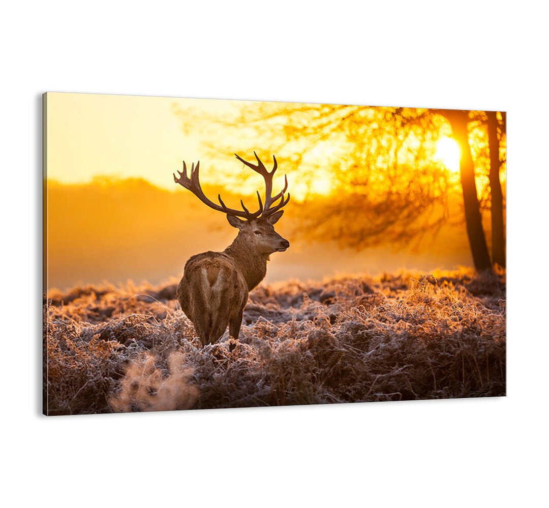 Leinwandbild - Fotografie "KÃ¶nig des Herbstwaldes"