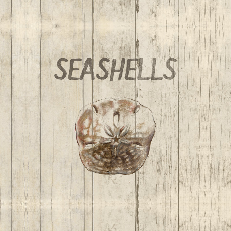 Seashells - Wrapped Canvas Print, 30cm H x 30cm W x 3.8cm D
