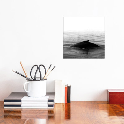 Whale Song III Black Iceland Square by Monika Strigel - Wrapped Canvas Print