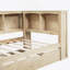 Daybed with Trundle,USB Ports and Storage Cabinets-1775827511