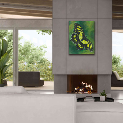 «Kearea Malachite Butterfly On Canvas» par Barbara Keith, reproduction