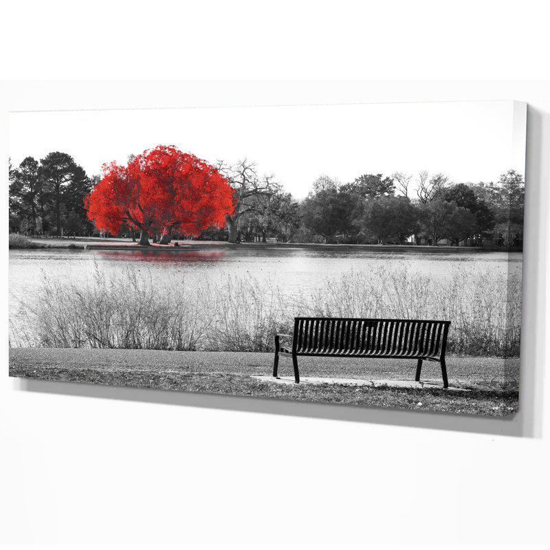 " Empty Bench Overlooking Red Tree ", 16" H x 32" W x 1" D