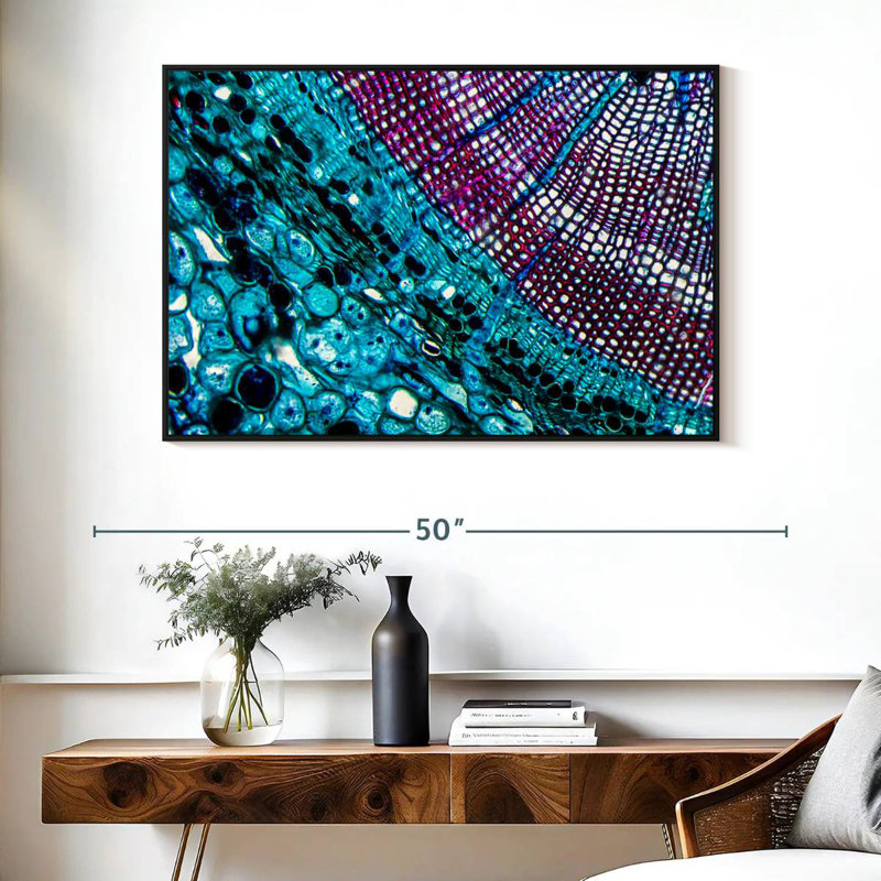 Pine Stem Under Microscope, 40" X 27", Floating Frame Black