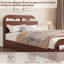 Structure de lit avec tête et pied de lit avec rangement, lit plateforme bas pour la chambre à coucher, aucun sommier requis, rouge-1898674193-1898674274