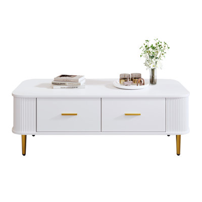 Batuhan 4 Legs Coffee Table with Storage