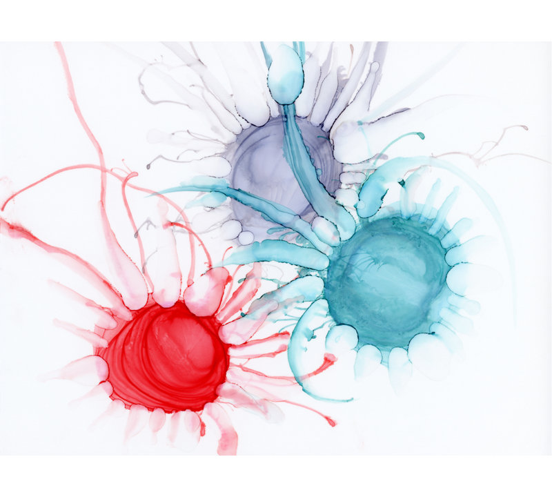 Orbits Evolve par KC Pollak - Peinture, Toile avec cadre noir, H 31 po x l 41 po, H 30 po x l 40 po