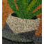 House Plant Natural Coir Doormat
