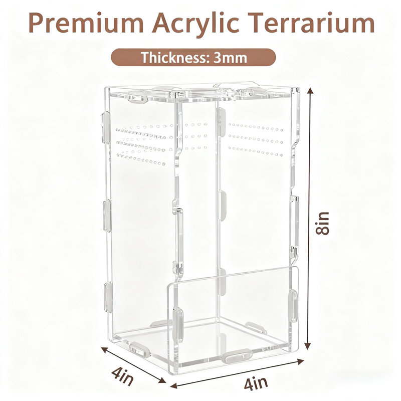 Enceinte de saut vertical en acrylique 8 po x 4 po x 4 po - Terrarium arboricole Tarantula, habitat pour reptiles pour les lézards, les geckos et les escargots