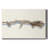 Driftwood Study I-Gallery Wrapped Canvas-578219043
