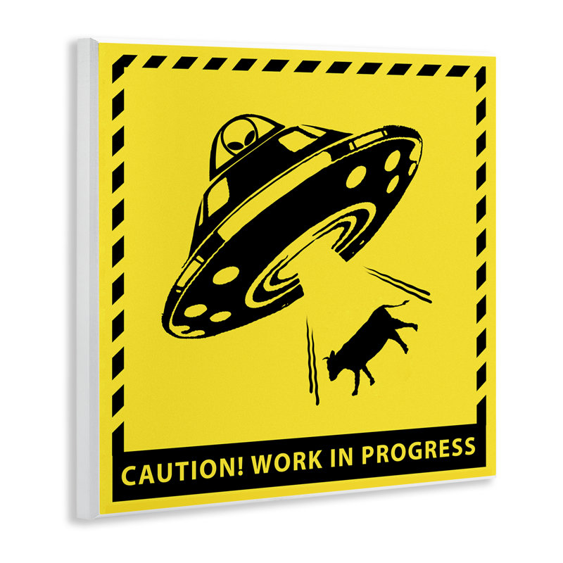 OVNI "Work In Progress" par Ziwei Li