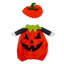 Décorations d'Halloween : citrouille maléfique de 58 cm (23 pouces), ensemble de costumes d'oies pour porche