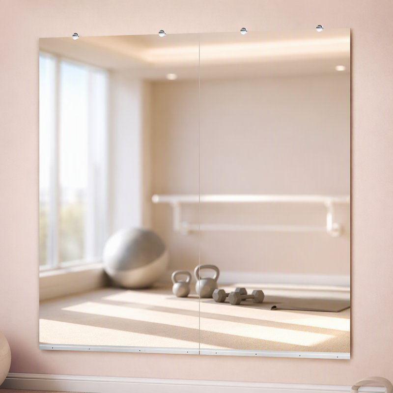 GYM MIROIR 30X48 POUCES - 2 pièces
