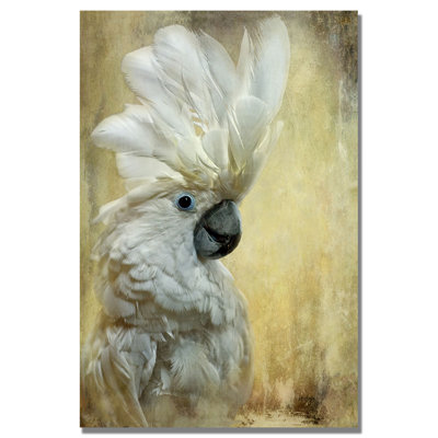 " Cocktoo " by Lois Bryan
