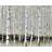 Winter Forest Landscape Brown Trees Braided Placemat