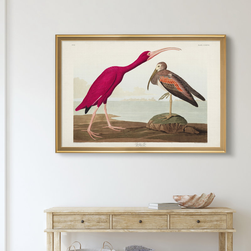 Scarlet ibis - reproduction d'art sur toile, H 30,5 po x l 42,5 po x P 1,5 po, Doré