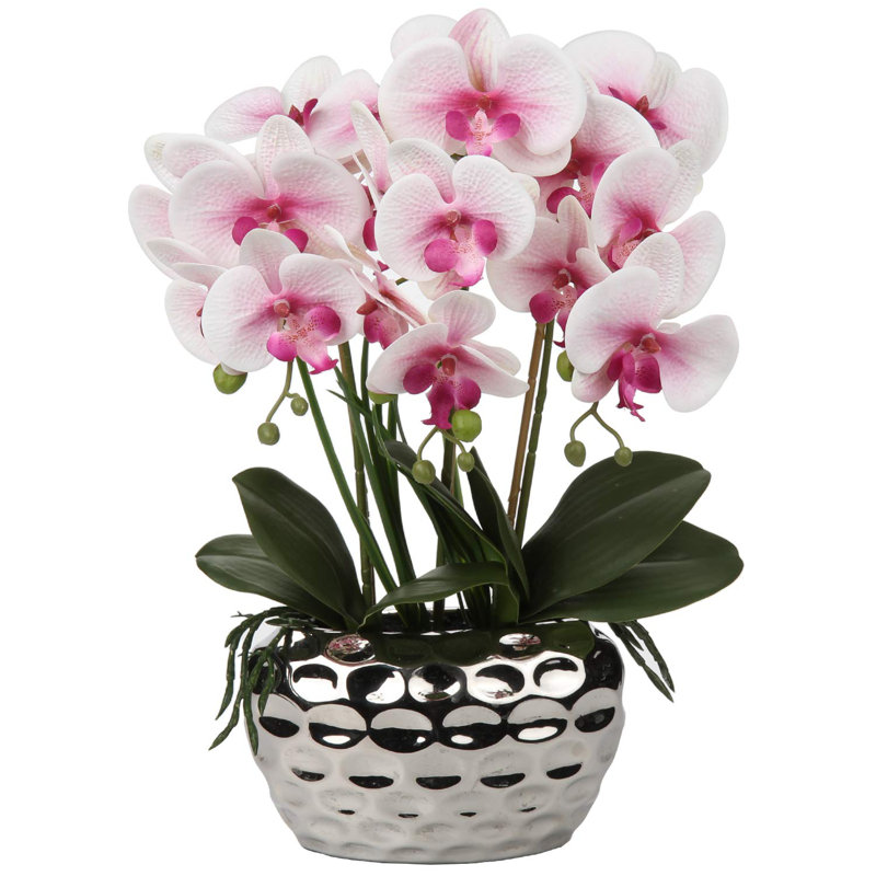 Rowney Arrangement, Pink