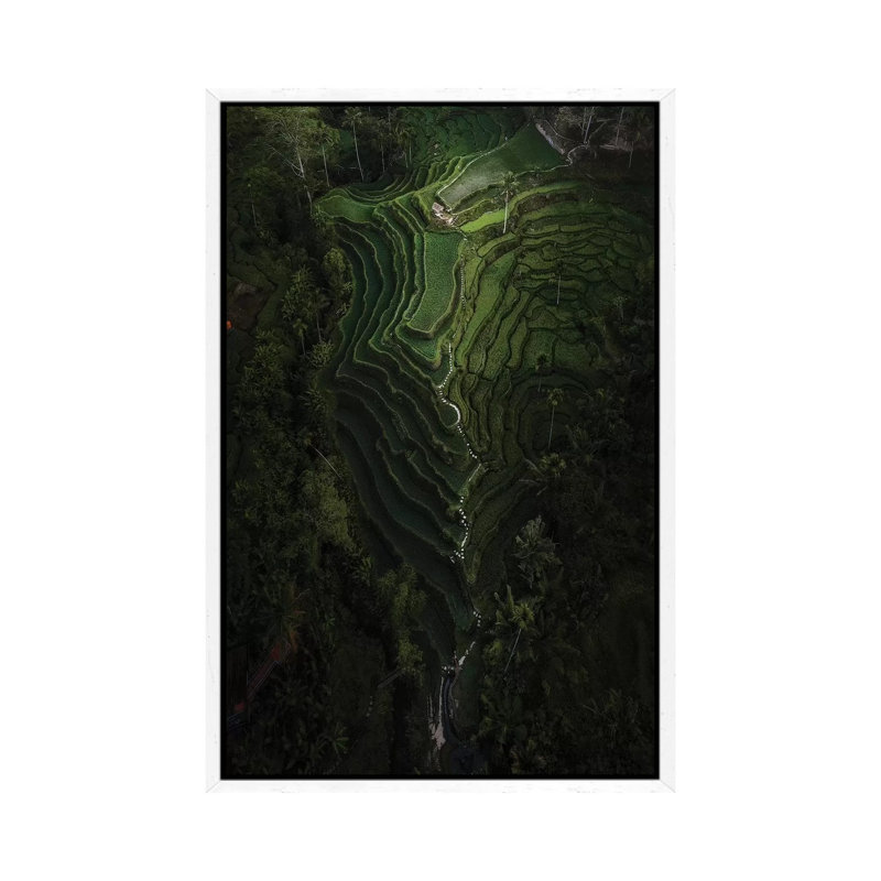 Bali IV by Daisuke Uematsu - Print on Canvas, White Framed, 66.04cm H x 45.72cm W x 3.81cm D