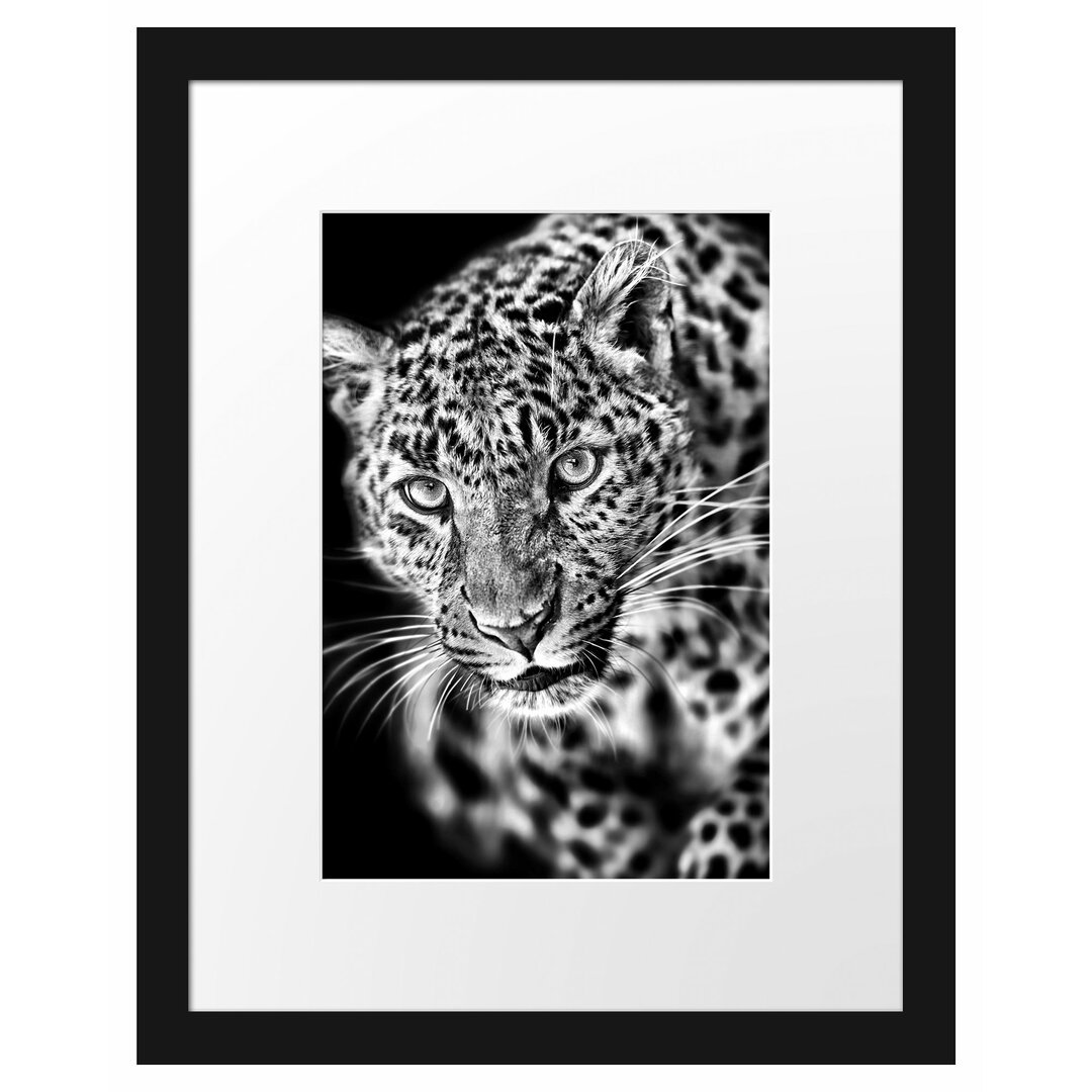 Anmutiger Leopard Gerahmter Kunstdruck Poster