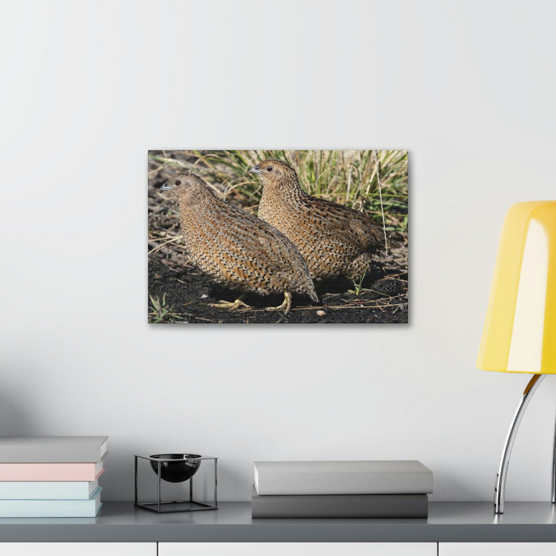 «Quail Couple Quail Couple», reproduction d'art mural, H 12 po x l 18 po
